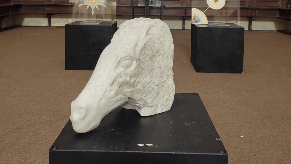 Progetto senza titolo (2)